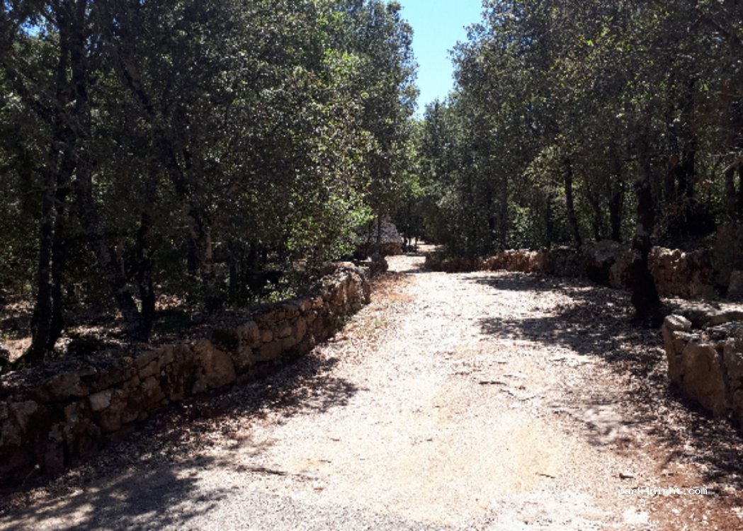 (08040) Osini - Unnamed Road — foto 3