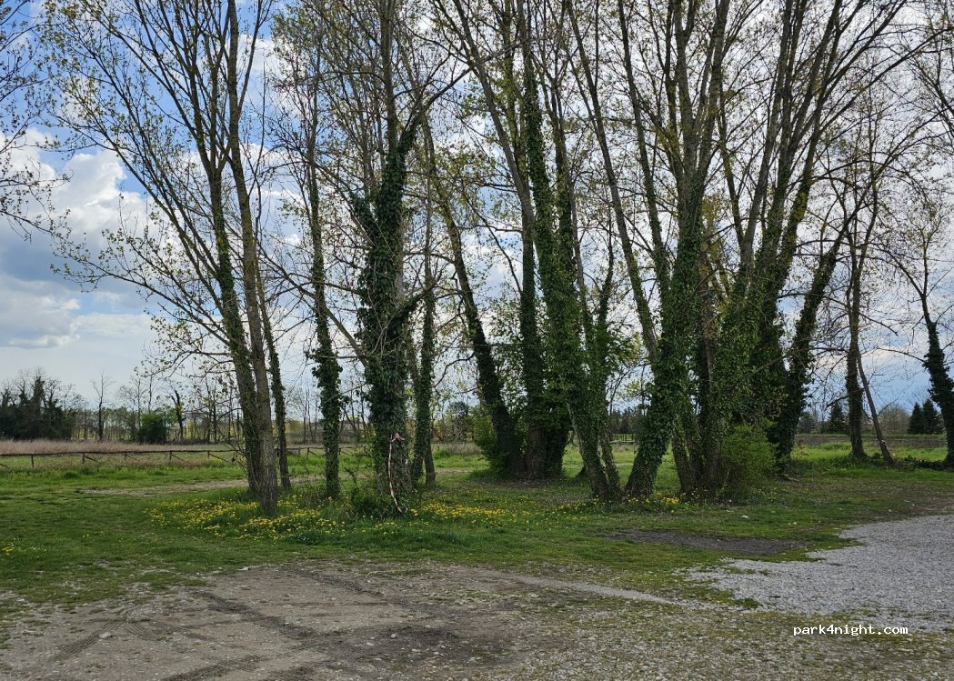 (31030) Saletto-San Bartolomeo - 7 Via del Passo — foto 2