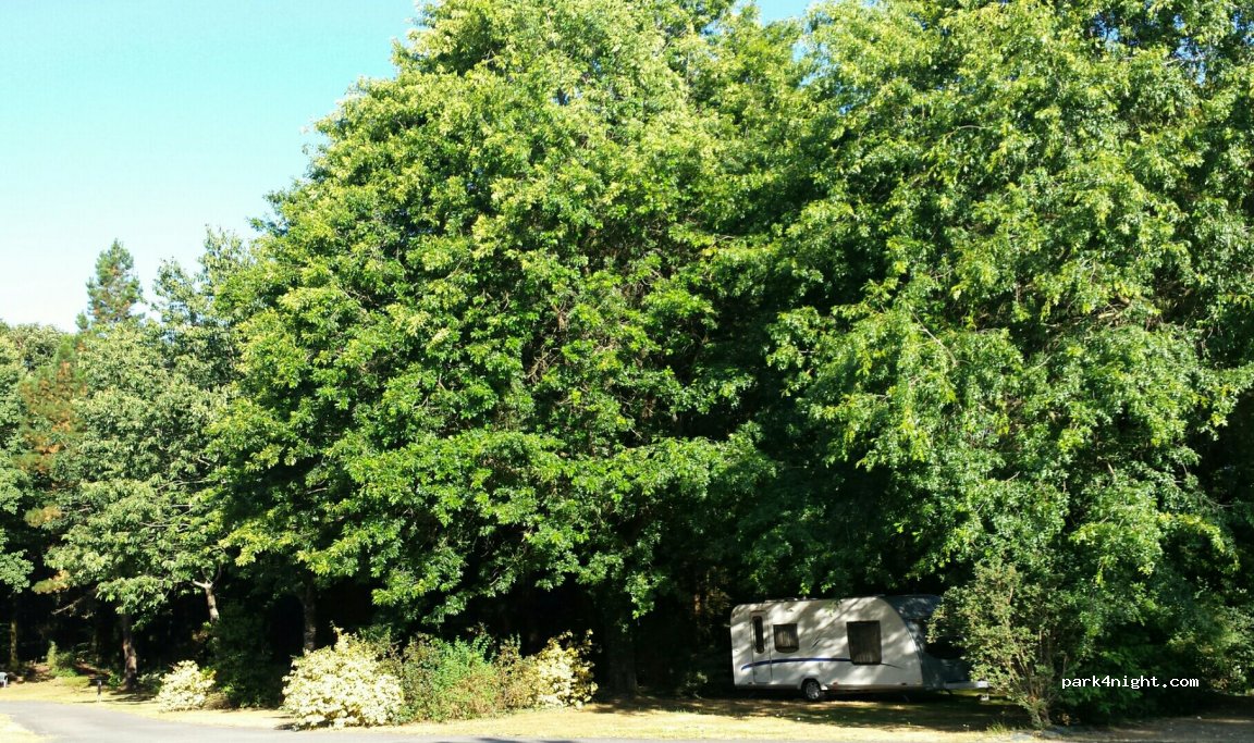 Camping de la Foret — foto 3