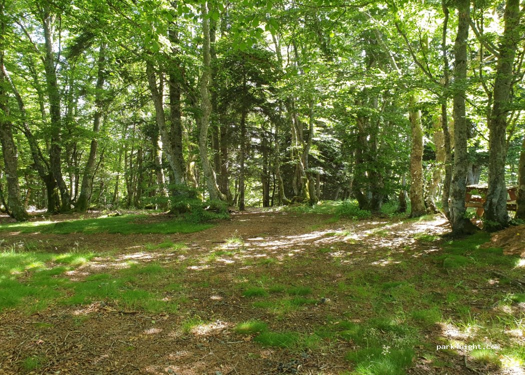 (63950) Saint-Sauves-d'Auvergne - — foto