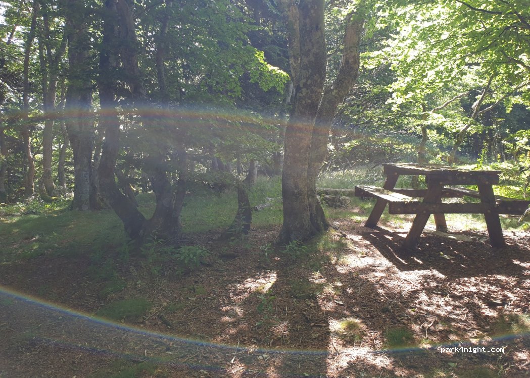 (63950) Saint-Sauves-d'Auvergne - — foto 2