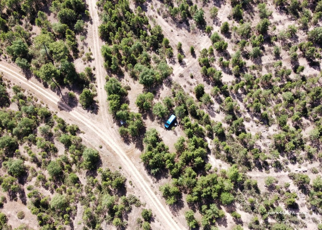 (19260) Alcolea del Pinar - — foto 3