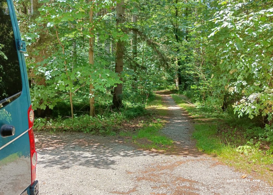 (85661) Ebersberger Forst - Unnamed road — foto 3