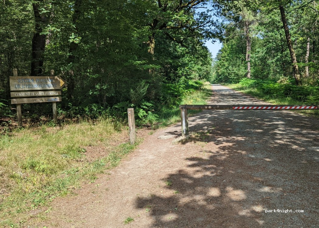(85140) Essarts-en-Bocage - — foto