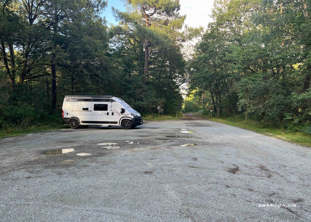 (85140) Essarts-en-Bocage - — foto 2