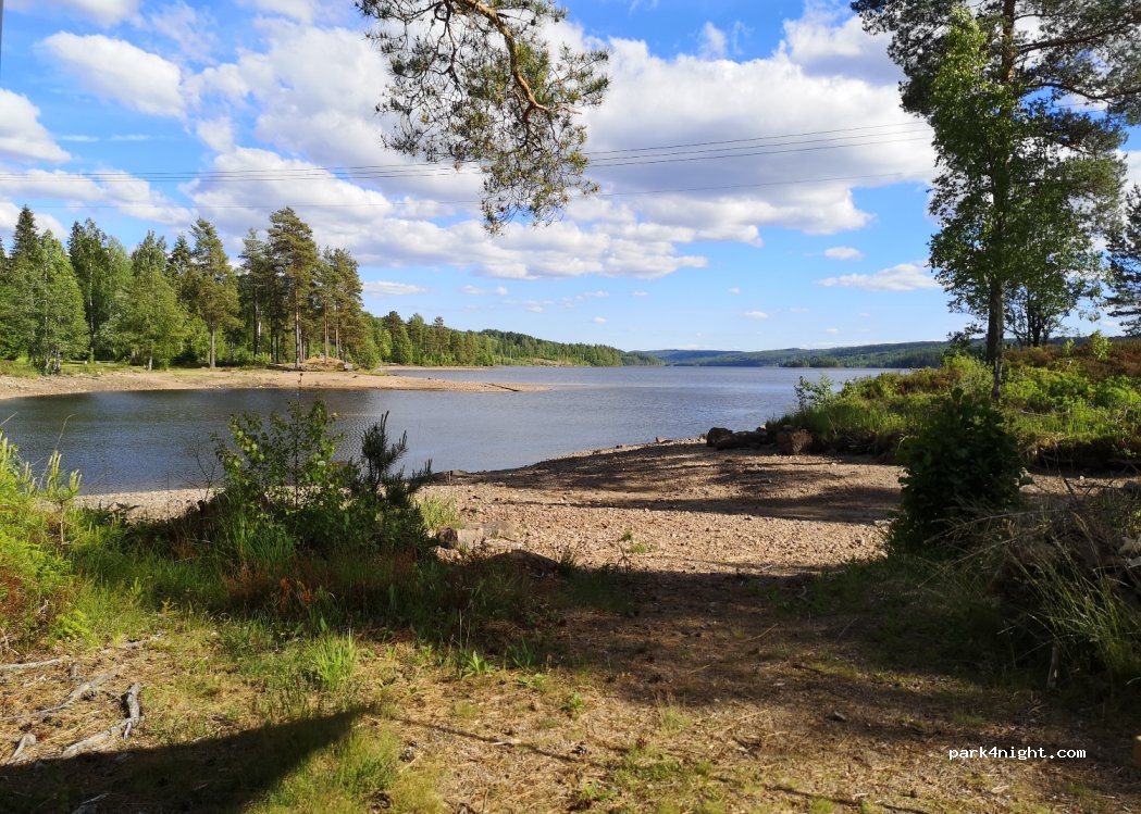 (2224) Varaldskogen - — foto
