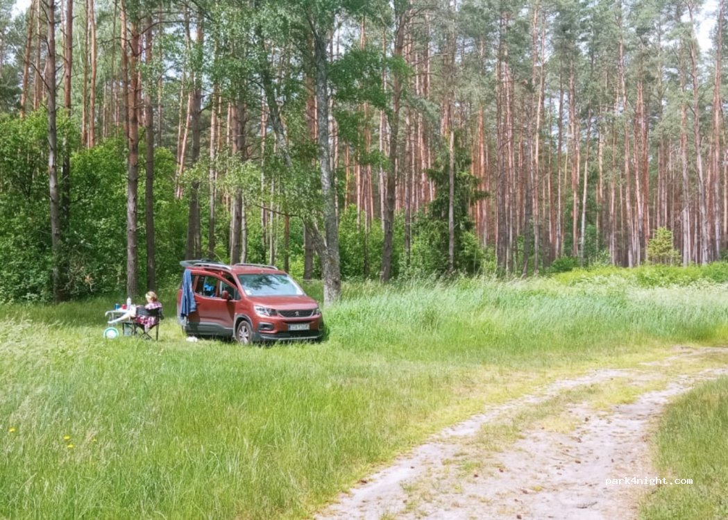 (83) Gołuń - — foto