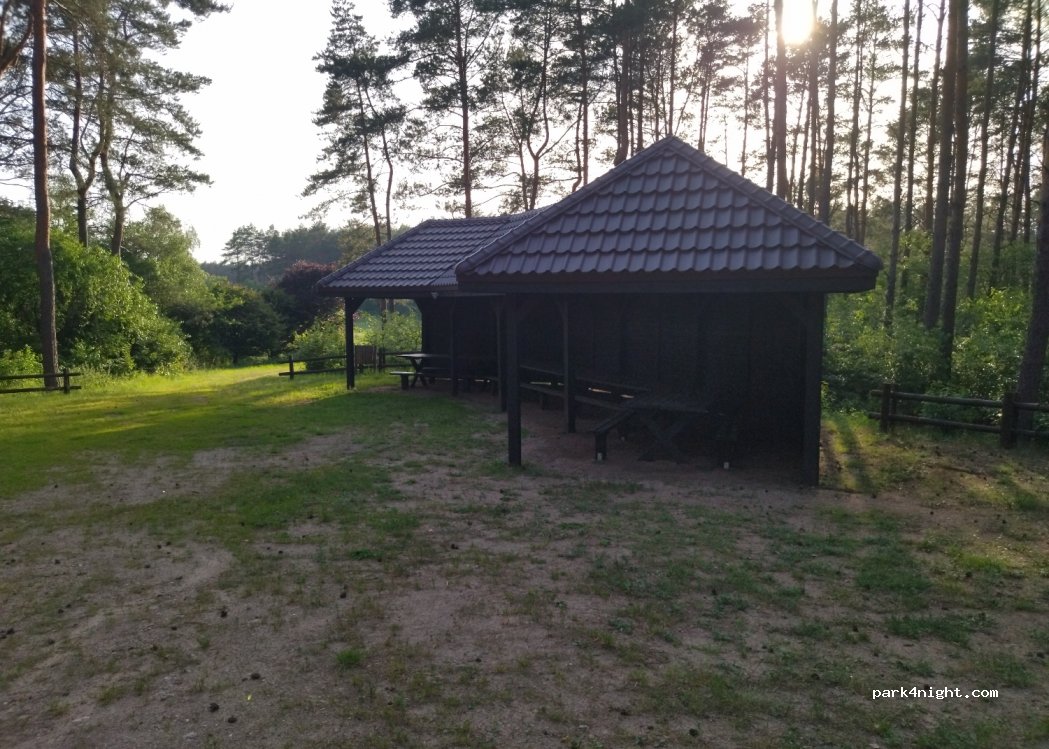 (64-705) Drzązgowo - — foto