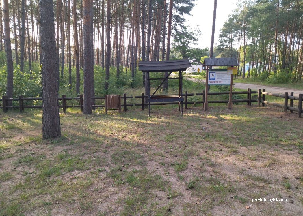 (64-705) Drzązgowo - — foto 2