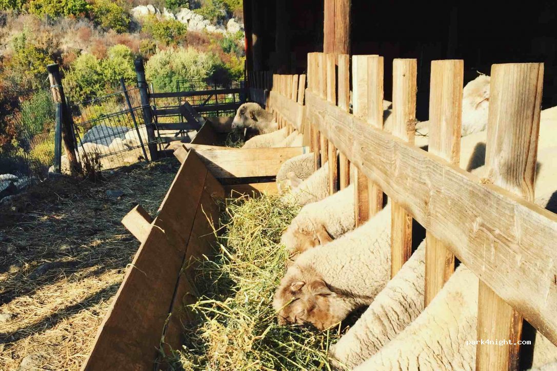 Camping à la ferme L'Ernaghju — foto