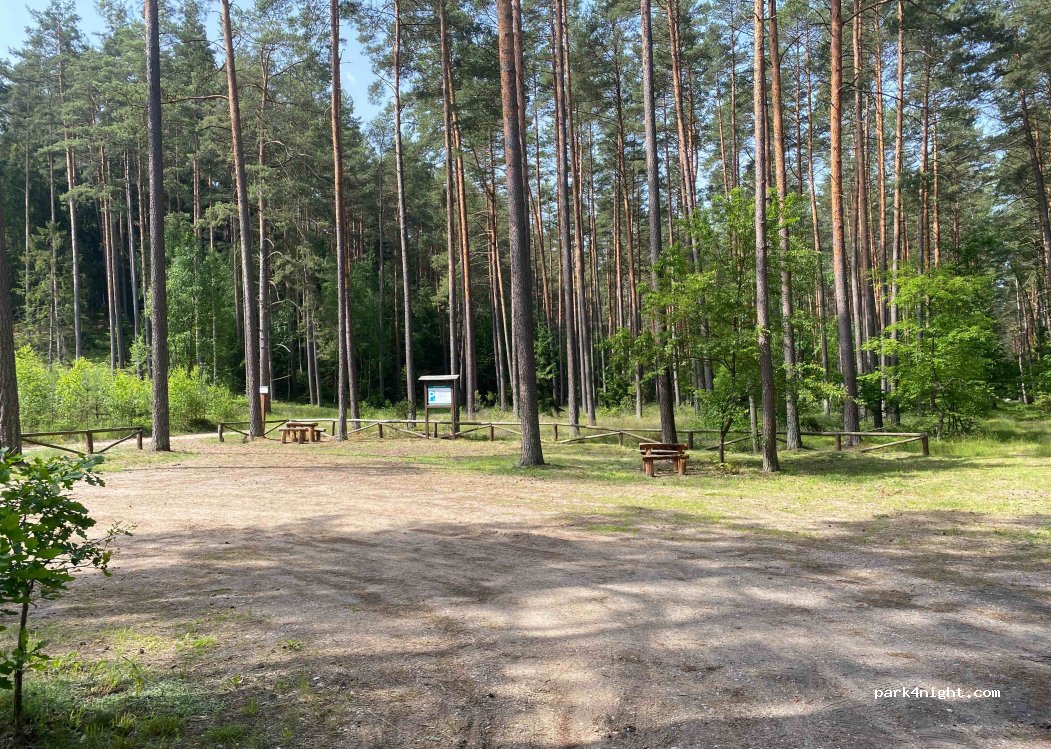 (11) Bałdzki Piec - Unnamed Road — foto