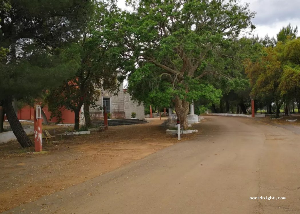(72019) San Vito dei Normanni - — foto 3