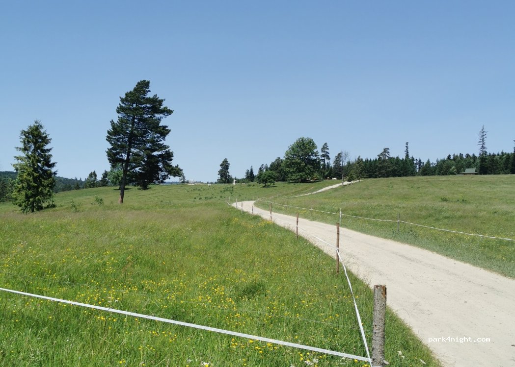 (34) Lipnica Wielka - Unnamed Road — foto 2