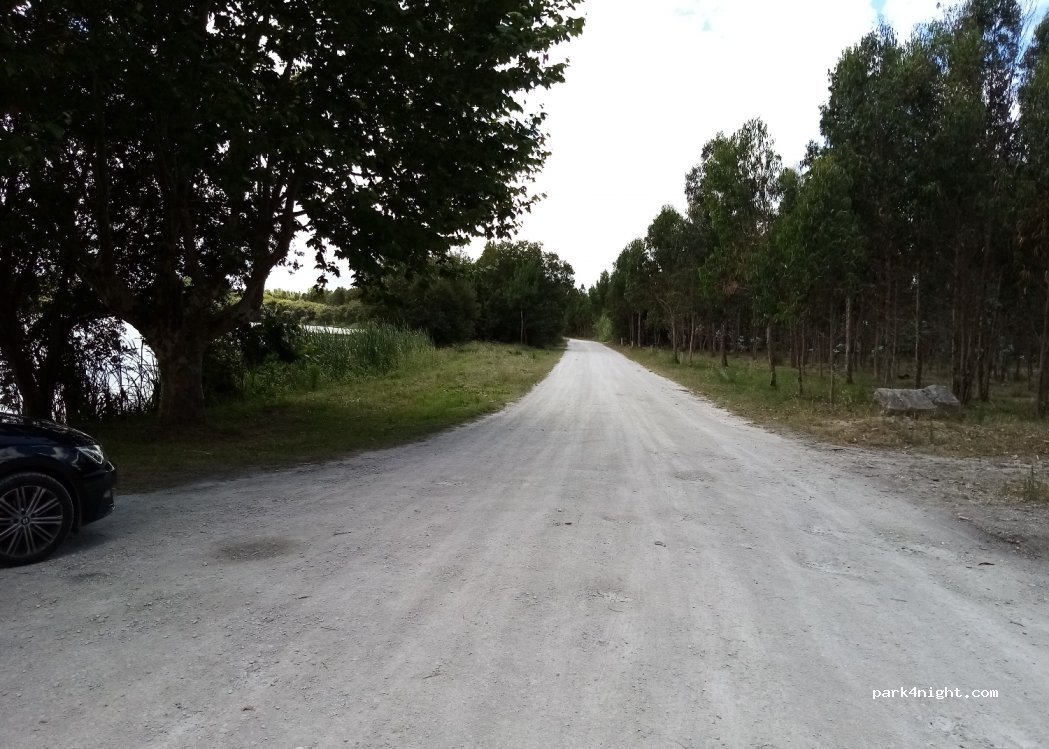 (3060) Tocha, Portugal - — foto
