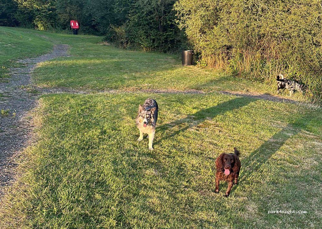 Henfold Lakes Camping — foto 3