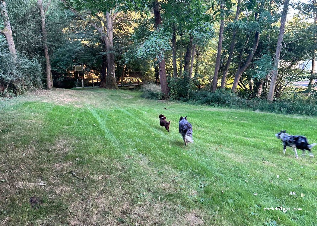 Henfold Lakes Camping — foto 4