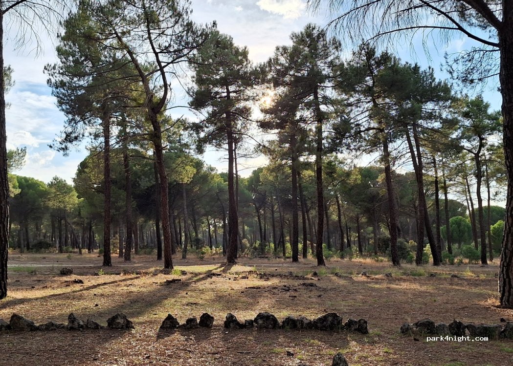 (47150) Viana de Cega - Unnamed Road — foto 3