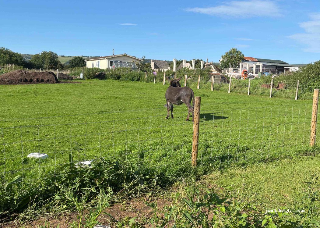 Wookey Farm Campsite — foto