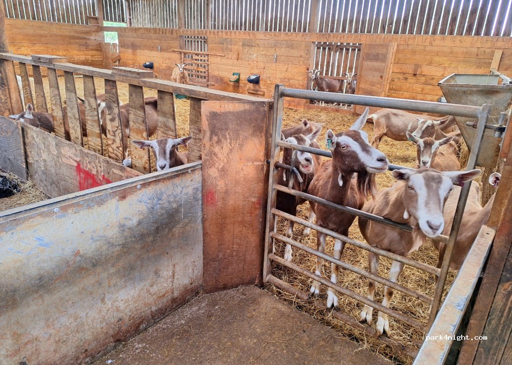 Wookey Farm Campsite — foto 2