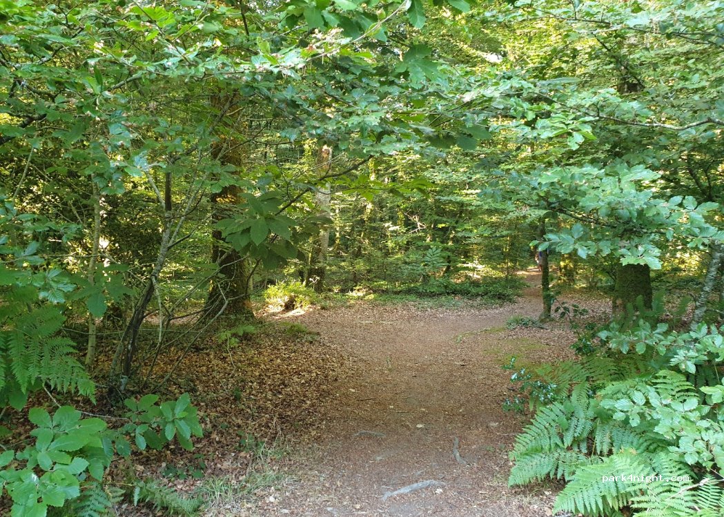 (29300) Quimperlé - Rte Forestiere du Chateau — foto 3