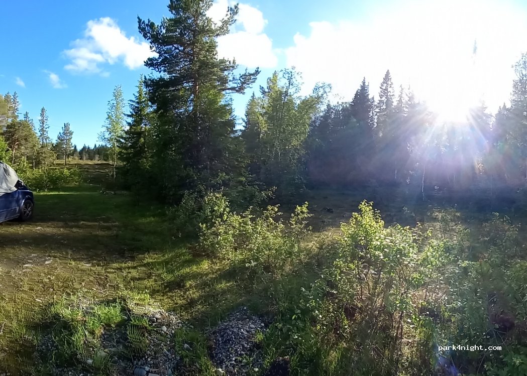 (7320) Fannrem - 221 Erikvegen — foto 2
