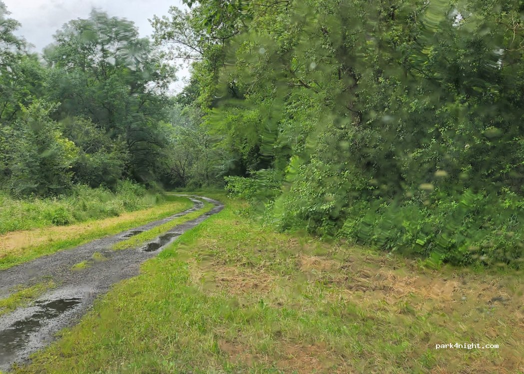 (58240) Chantenay-Saint-Imbert - Unnamed Road — foto