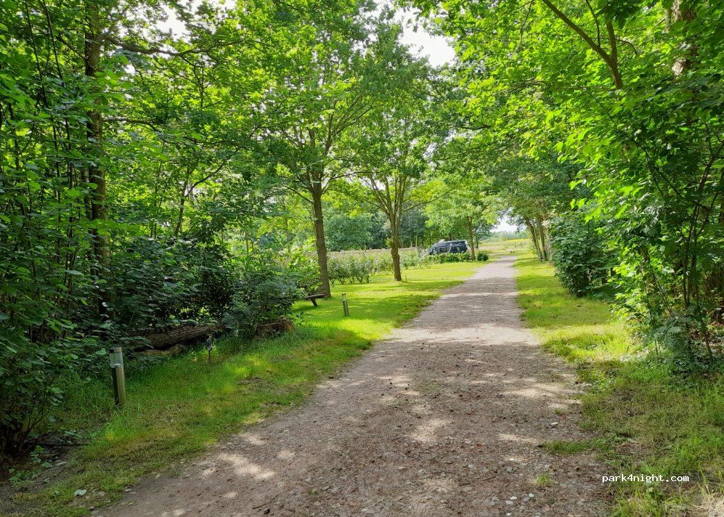 Camping De Beerte — foto