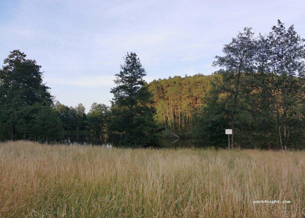 (91572) Bechhofen - Unnamed Road — foto 4