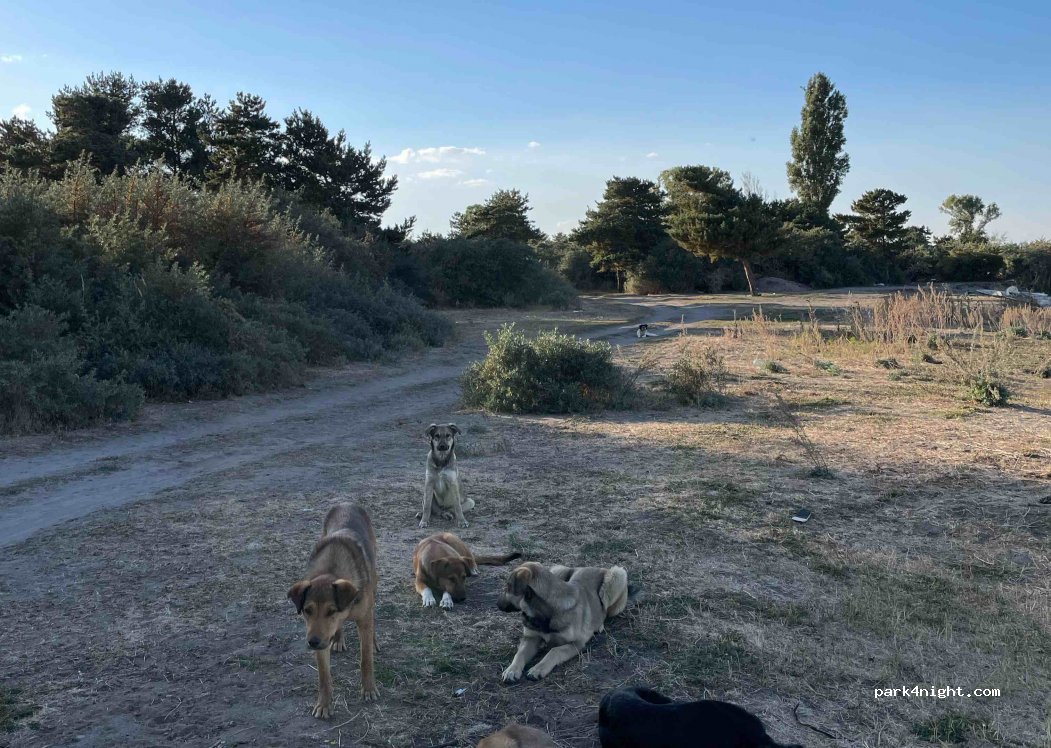 (1402) Nerkin Getashen - Unnamed Road — foto