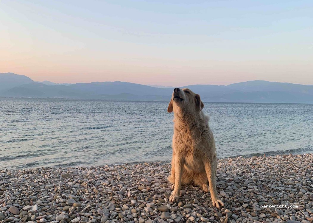 (265 04) Rio - Paralia Drepanou — foto