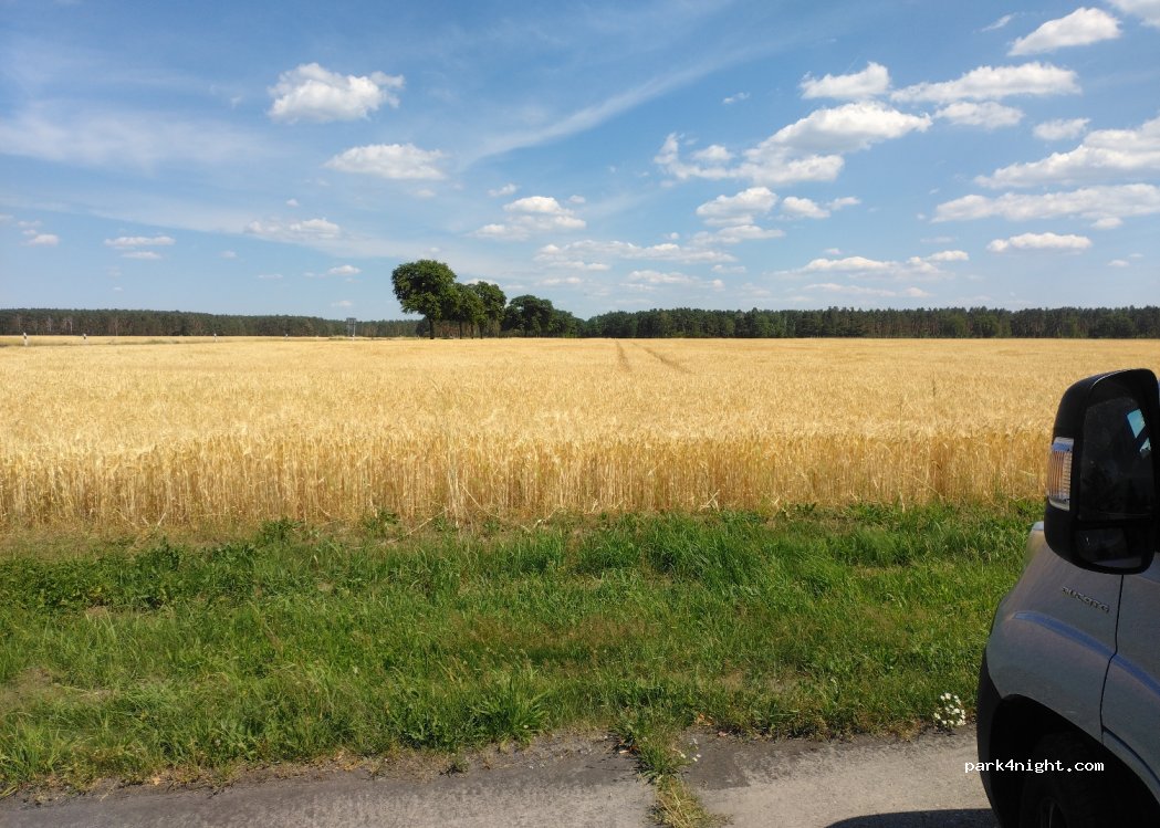 (03130) Jämlitz-Klein Düben - 5 Mühlenweg — foto 2