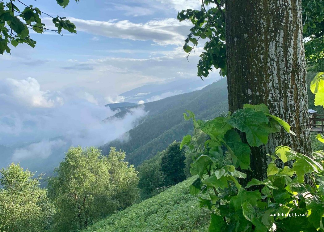 (13822) Valdilana - Strada Provinciale 1232 — foto 3
