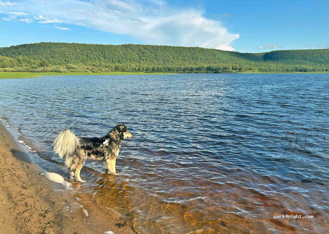 (9520) Kautokeino - — foto 4