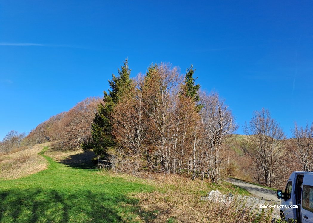 (29026) Ottone - Loc. Casa Punta — foto 2