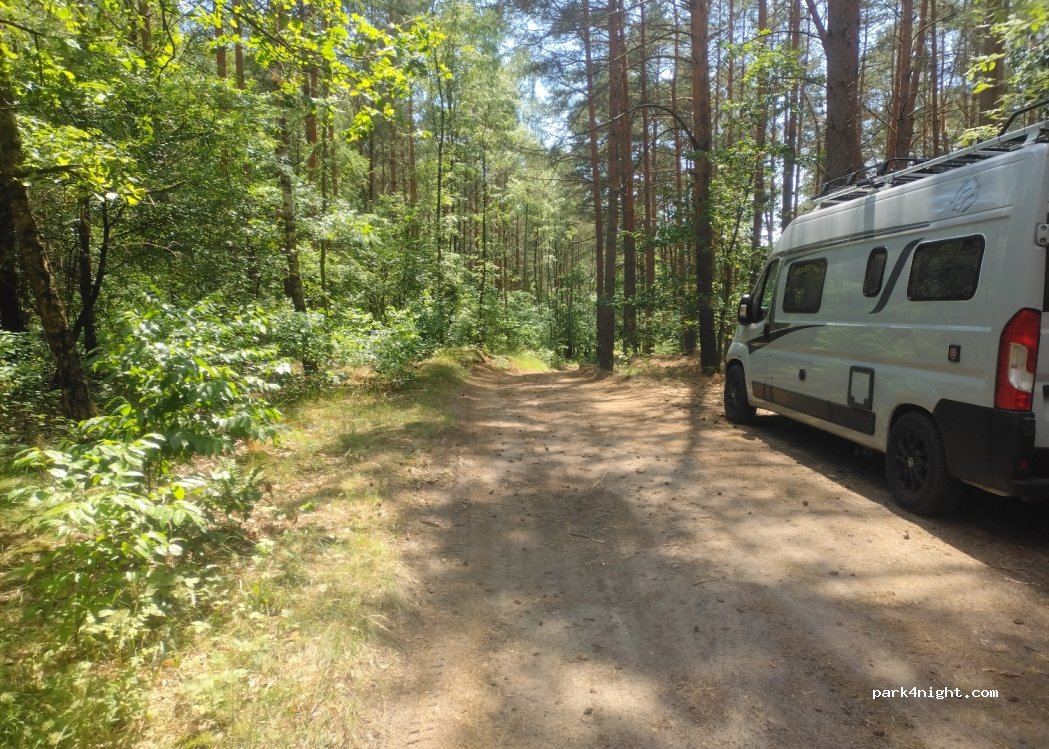 (62-010) Stęszewko - Unnamed Road — foto