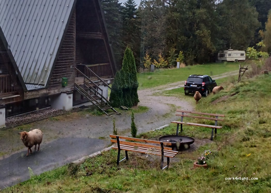 Campingplatz Nüßleshof — foto 5