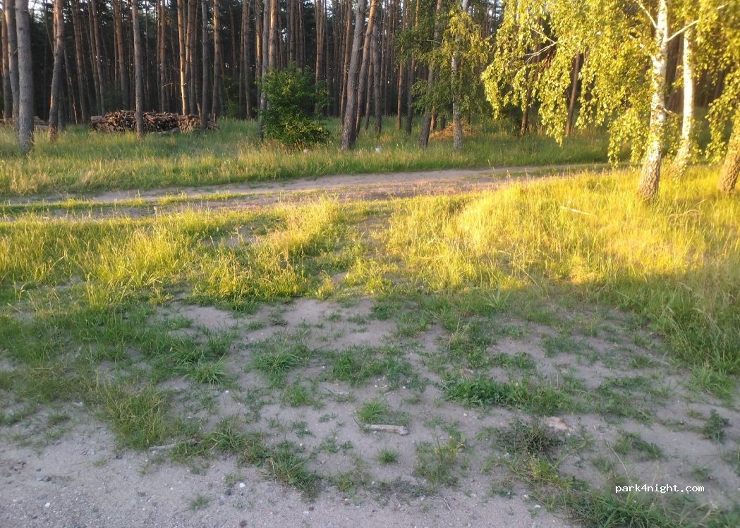 (62-010) Gołuń - Unnamed Road — foto 2