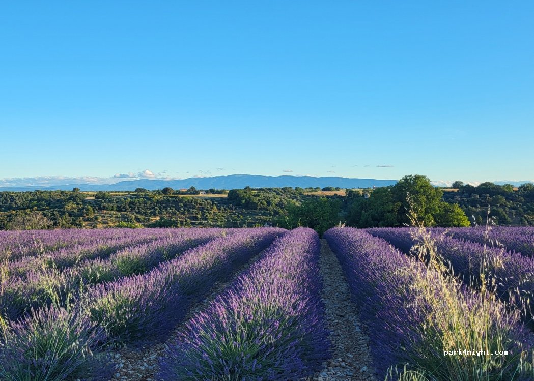 Camping les Lavandes, Valensole — foto 4