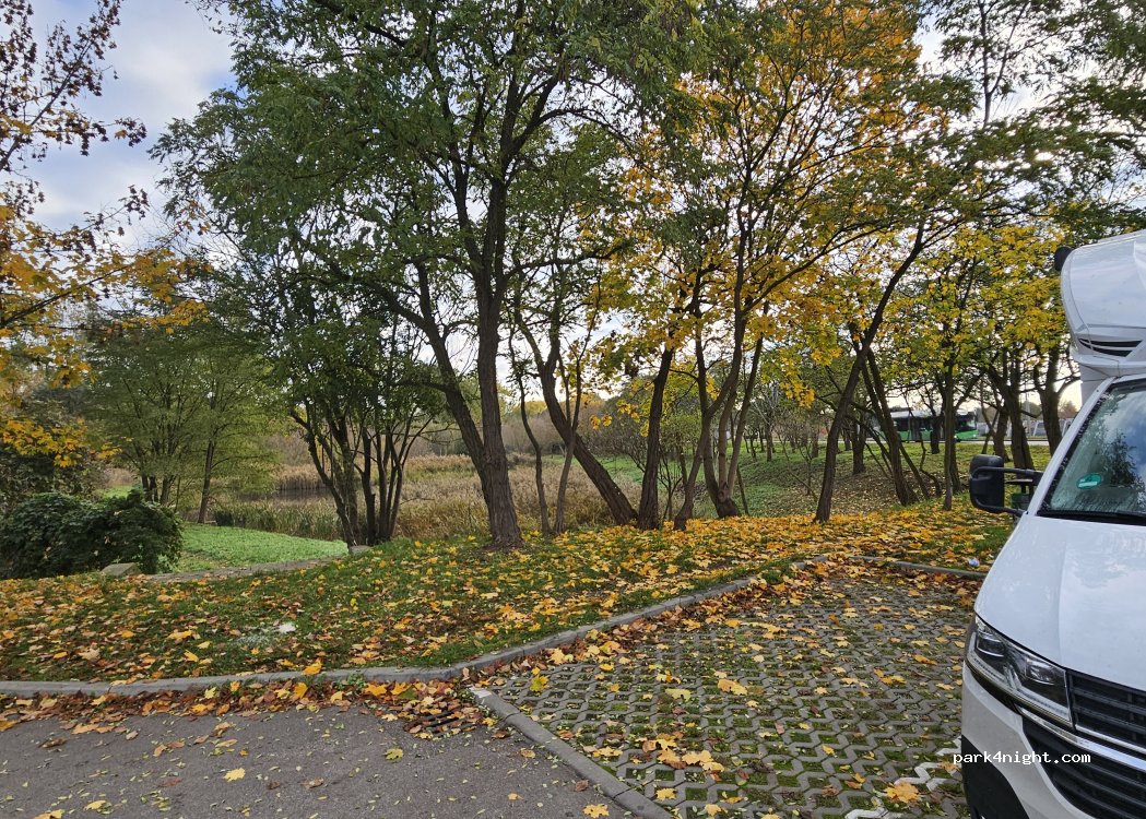 (97) Piotrków Trybunalski - Wierzeje — foto 4