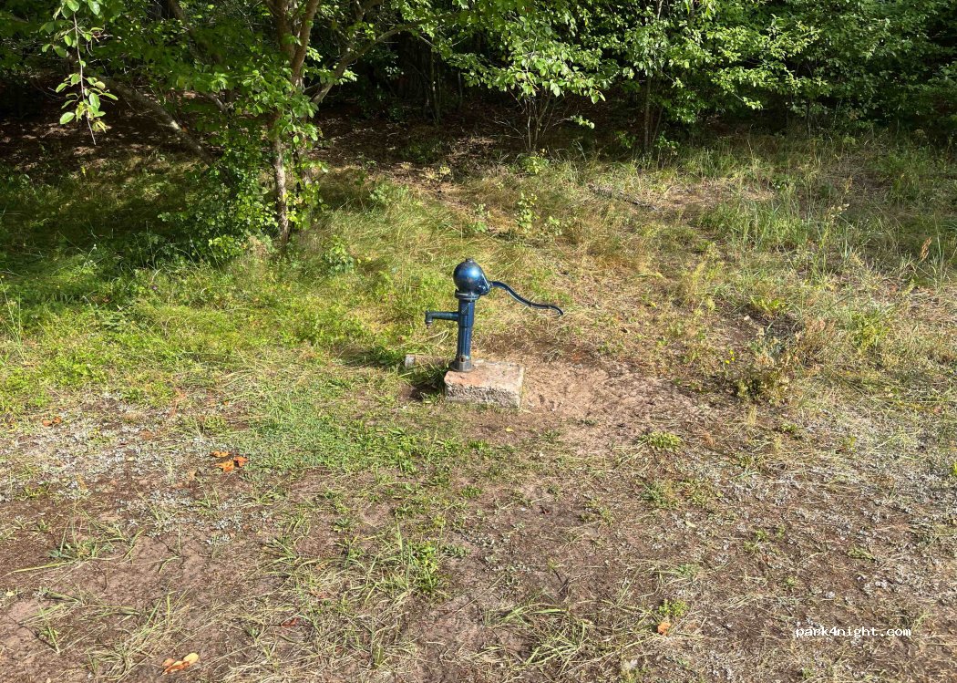 CampSite Długa Polanka — foto 3