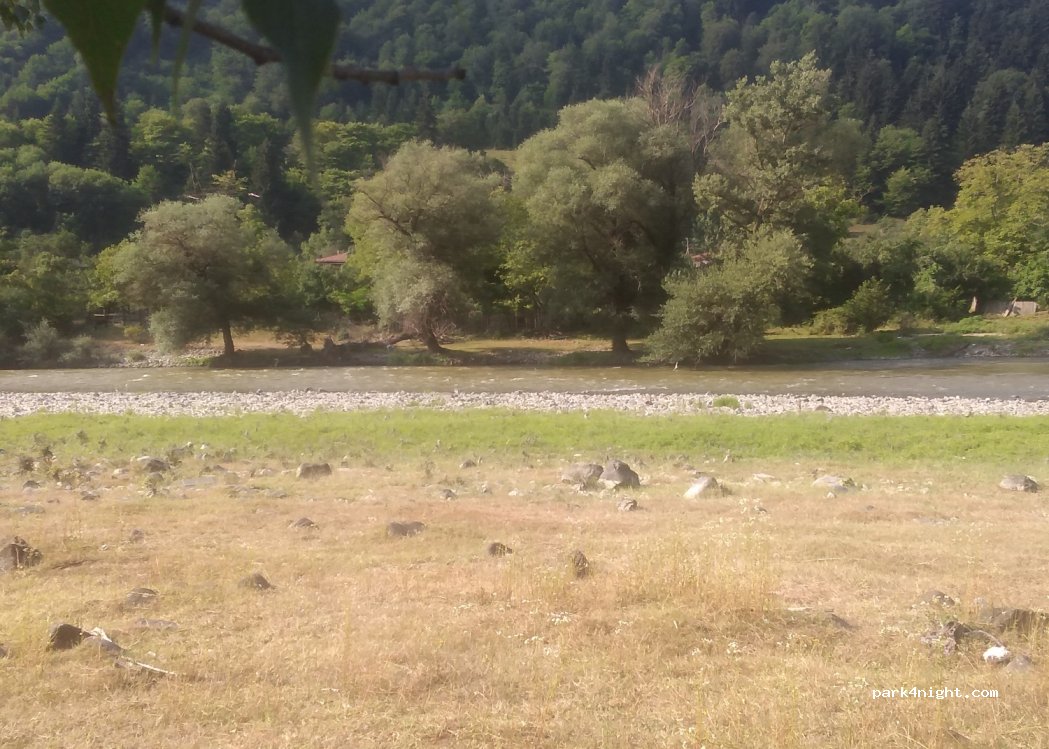 (1200) Kortaneti - ს8 — foto 2
