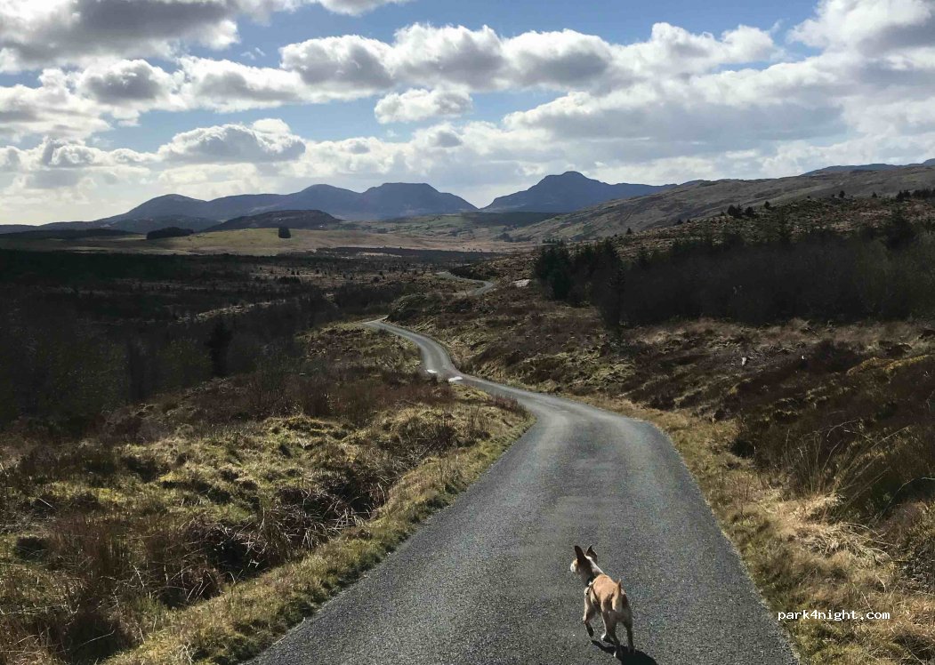(LL41 4TR) Trawsfynydd - Unnamed Road — foto 3