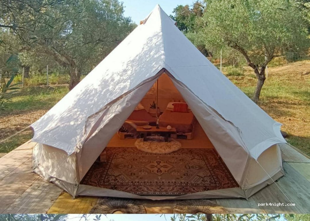 Golden Camp — foto