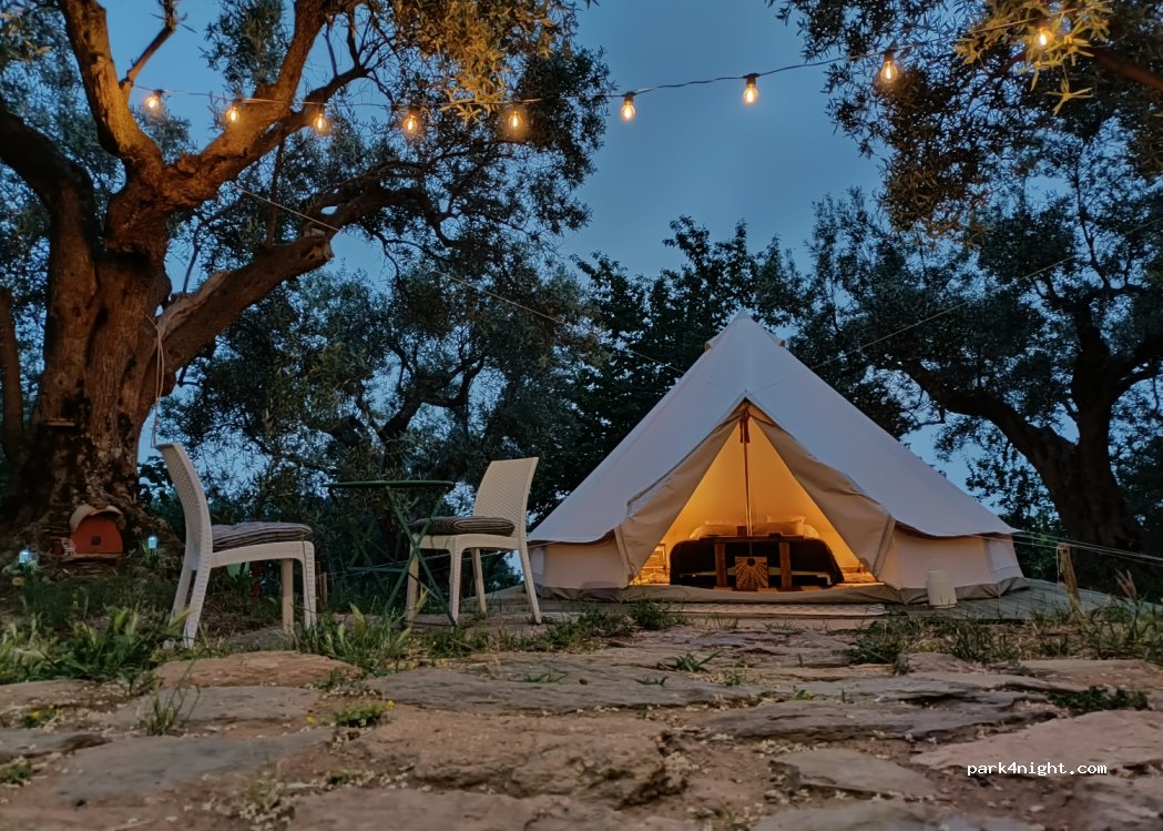 Golden Camp — foto 2