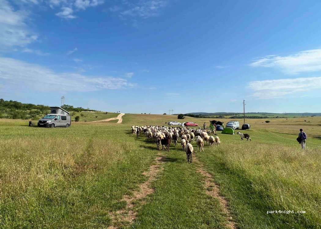 (5782) Karlukovo - Unnamed Road — foto
