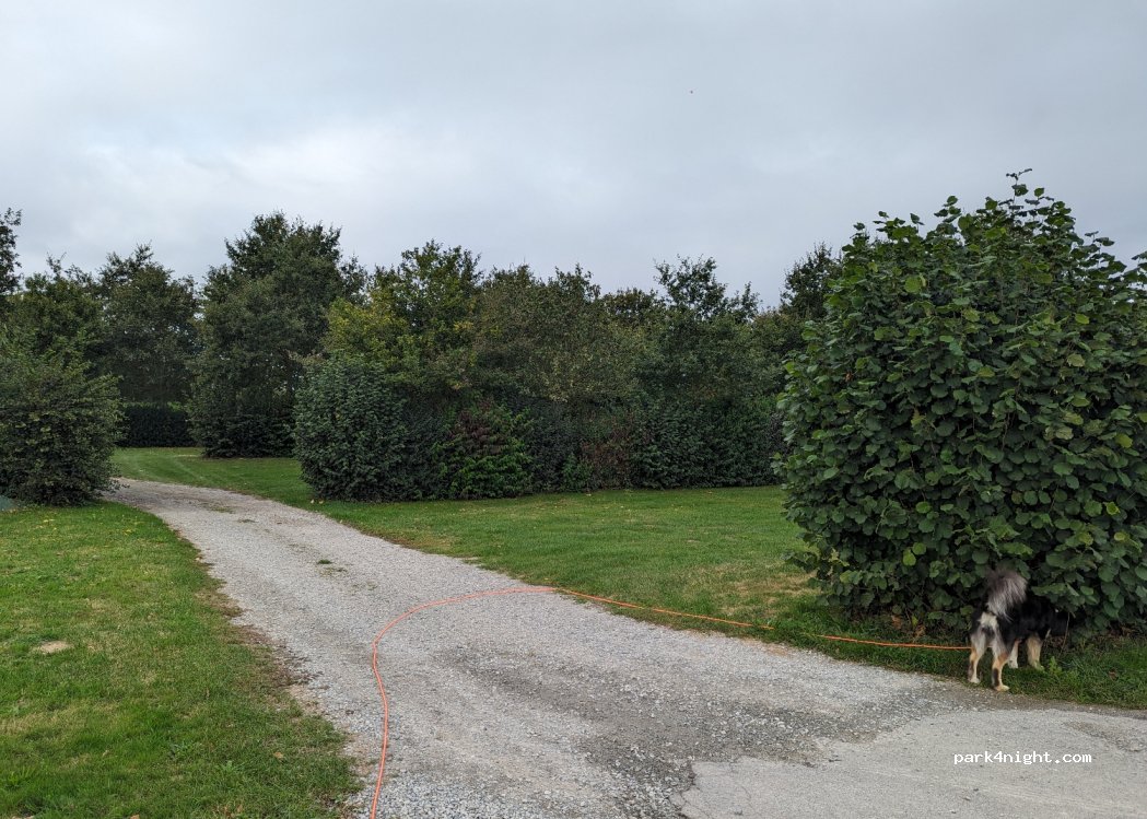 (35240) Marcillé-Robert - 28 Rue des Bas Gasts — foto 3