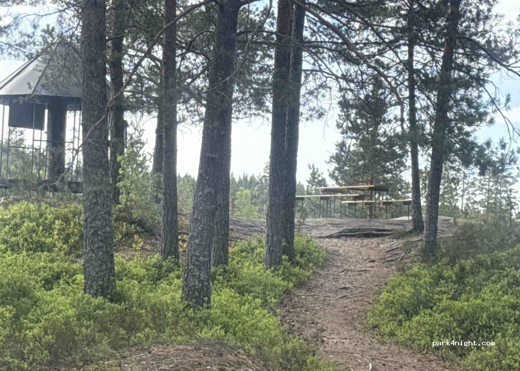 (3760) Neslandsvatn - 382 Sandvannsveien — foto 3