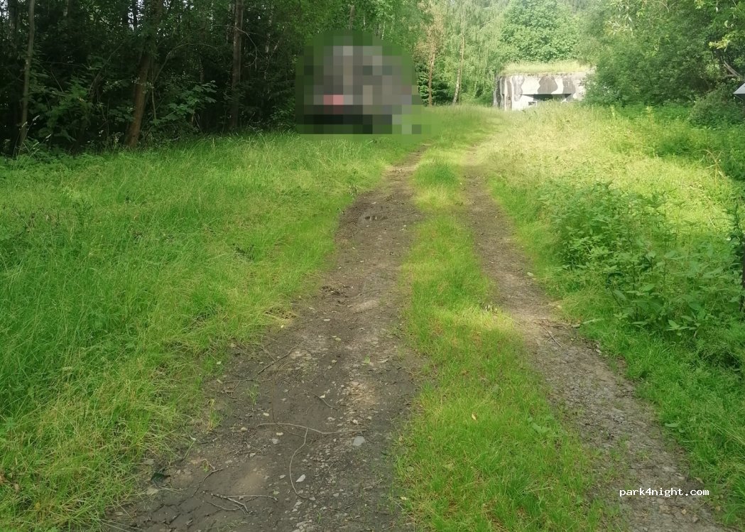 (561 69) Králíky - Unnamed Road — foto 3
