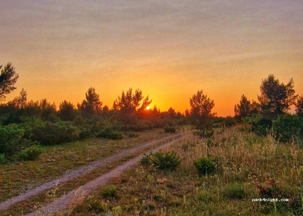 (23420) Raštević - Unnamed Road — foto 3