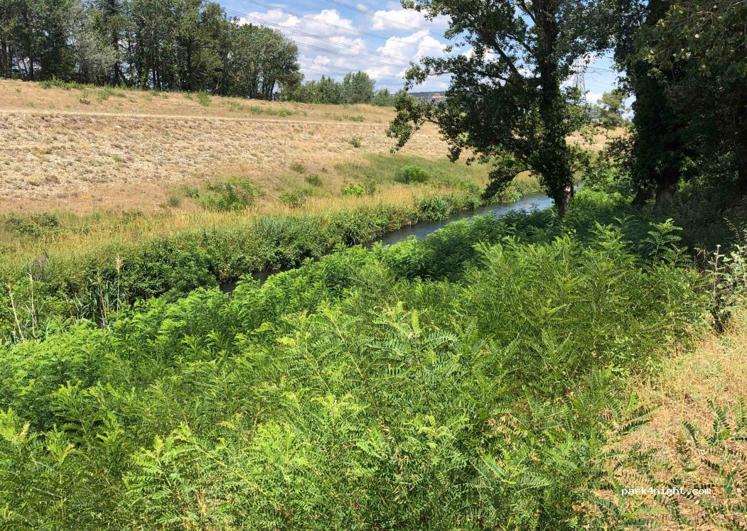 (84860) Caderousse - Unnamed Road — foto 3